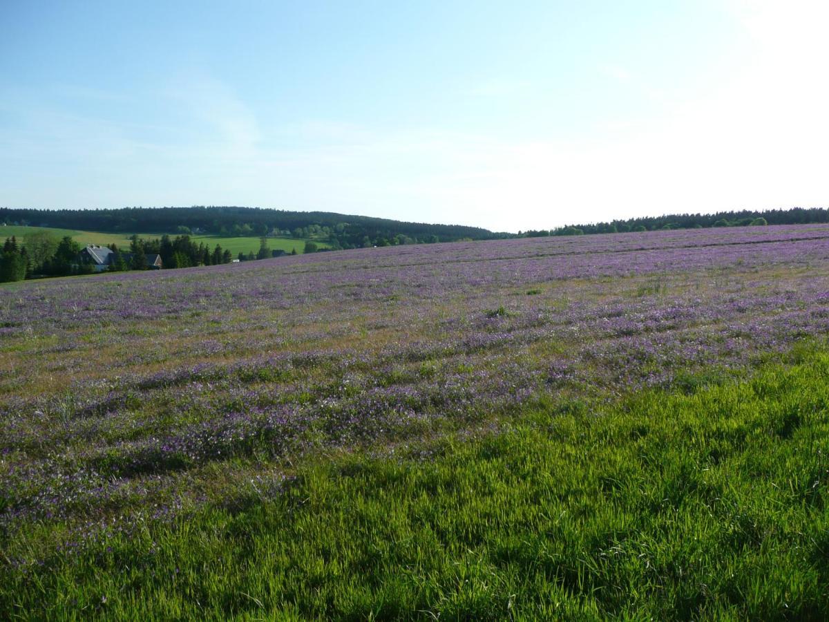 Gasthaus Ruebenau Rubenau Bagian luar foto